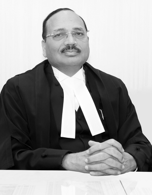 Hon’ble Mr. Justice Surya Kant